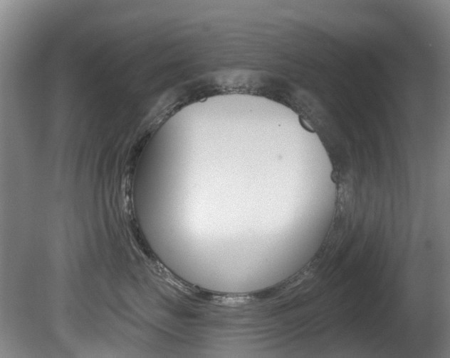 X0000081280671200701110935