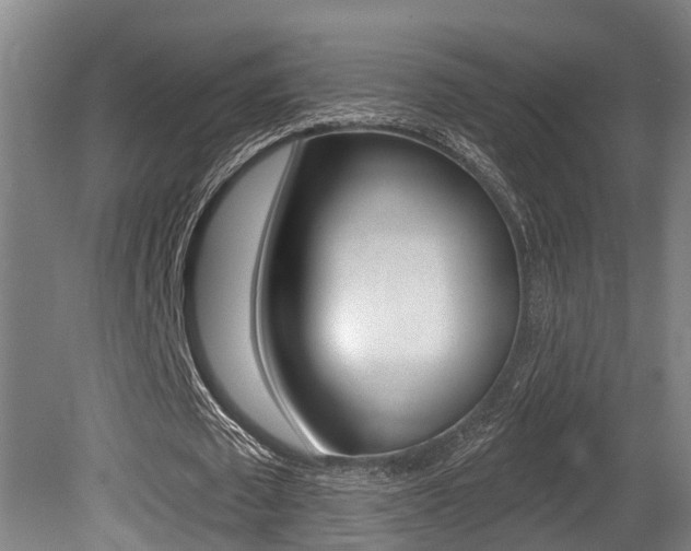 X0000081280673200701110935