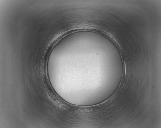X0000081280675200701110935