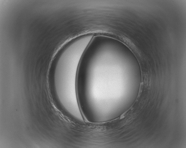 X0000081280676200701110935