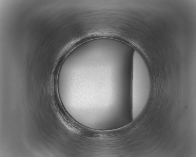 X0000081280678200701110934