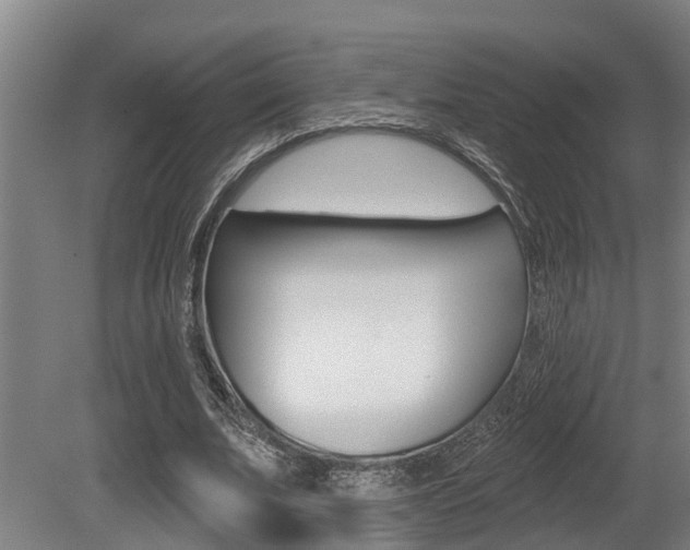 X0000081280679200701110934