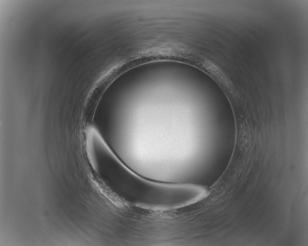 X0000081280680200701110934