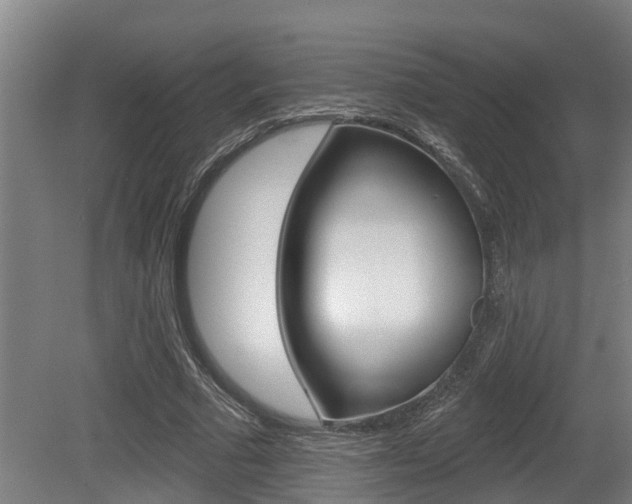 X0000081280681200701110934
