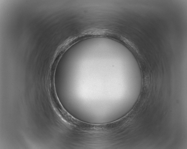 X0000081280682200701110934