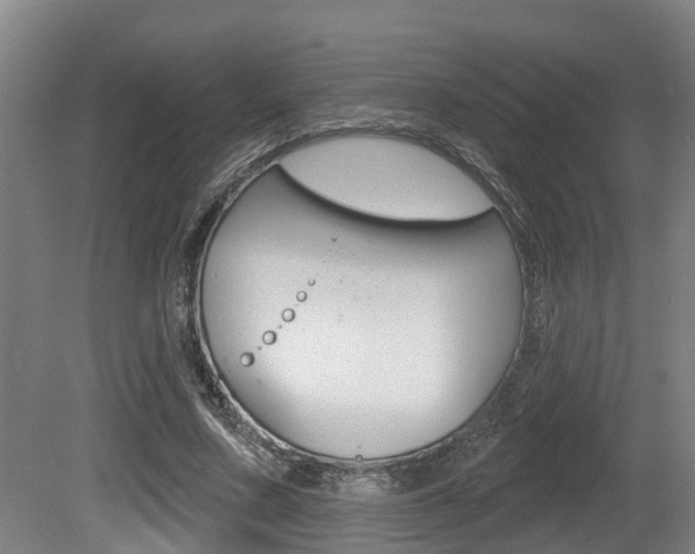 X0000081280683200701110934