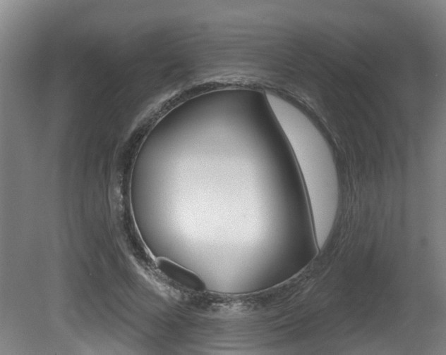 X0000081280688200701110934
