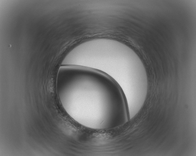X0000081280689200701110934