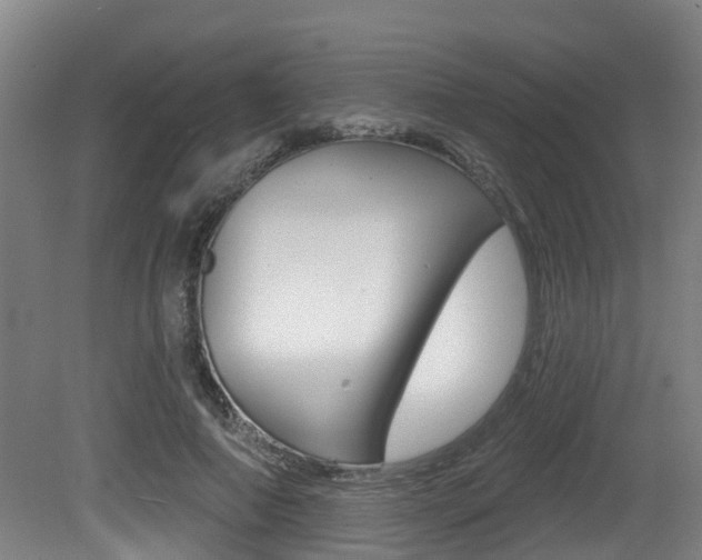 X0000081280690200701110934