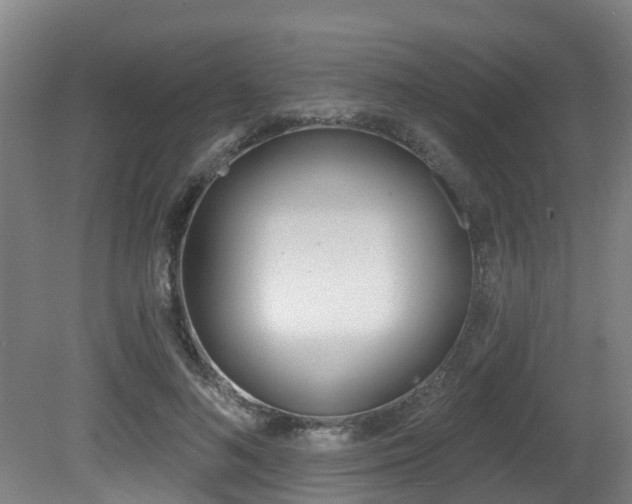 X0000081280692200701110934