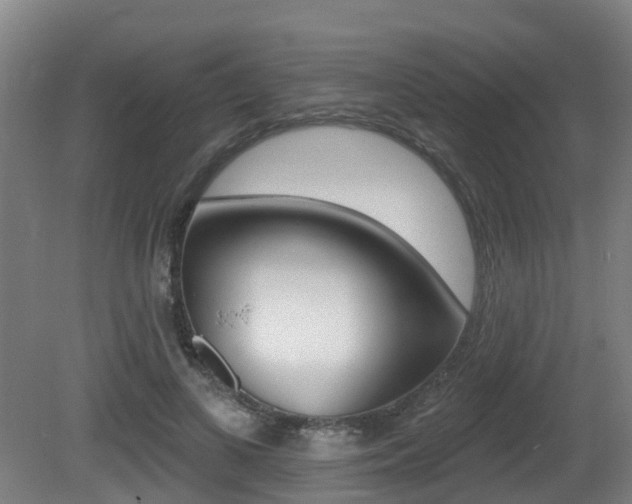 X0000081280693200701110934