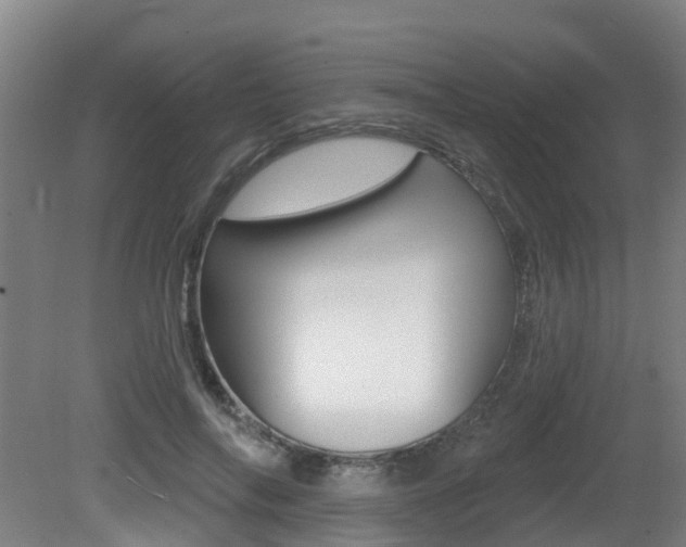 X0000081280694200701110934