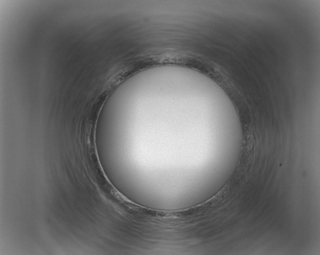 X0000081280695200701110934