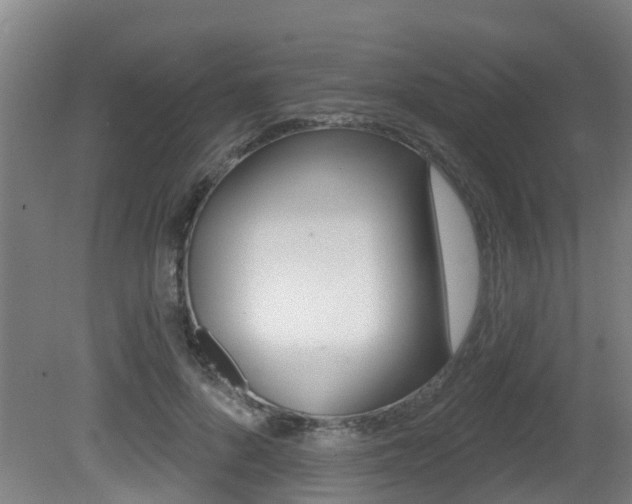 X0000081280696200701110934