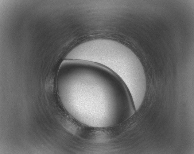 X0000081280697200701110934