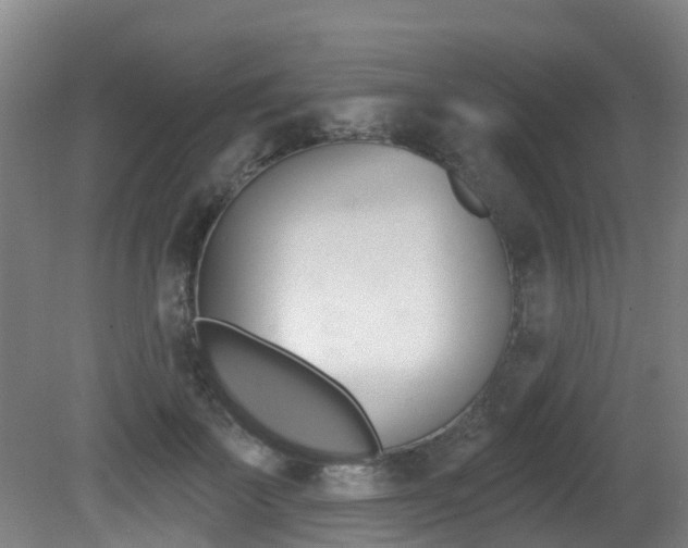 X0000081280699200701110934