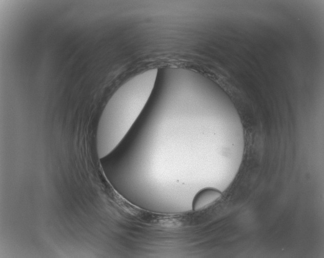 X0000081280702200701110934
