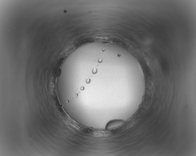 X0000081280707200701110934