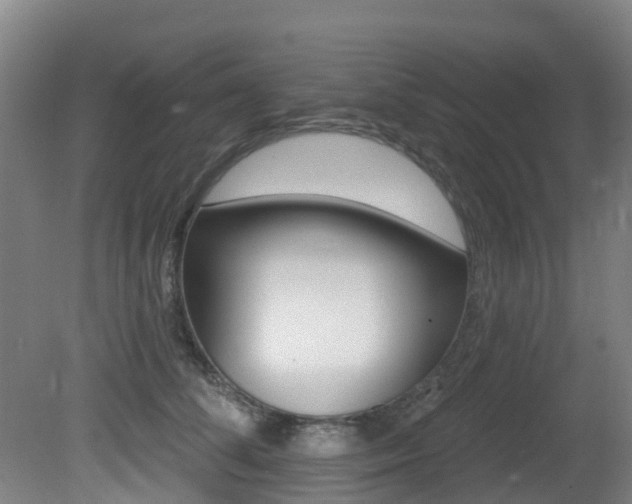 X0000081280708200701110934