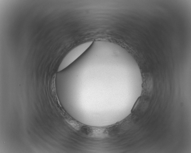 X0000081280709200701110934