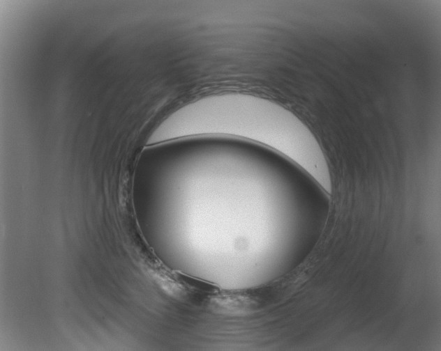 X0000081280712200701110934