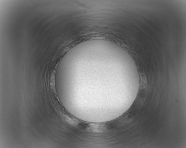 X0000081280713200701110934
