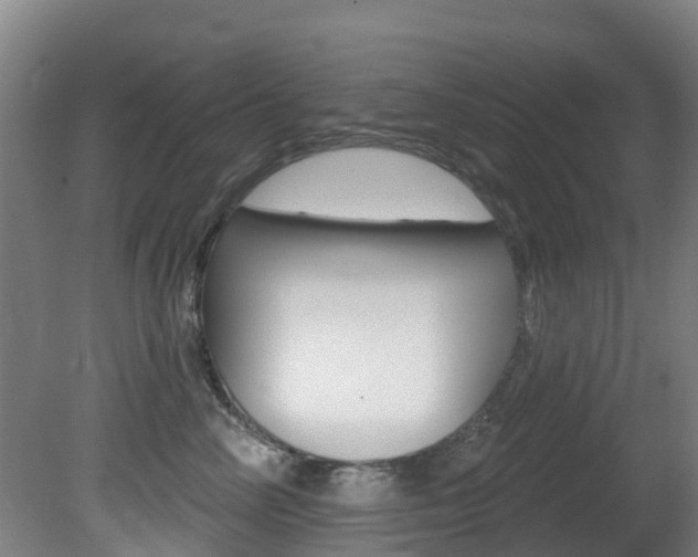 X0000081280714200701110934