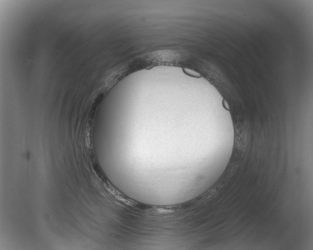 X0000081280718200701110934