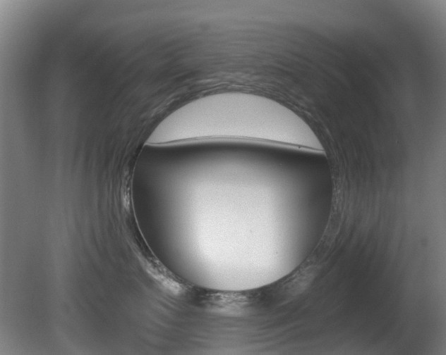 X0000081280719200701110934