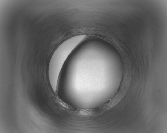 X0000081280720200701110934