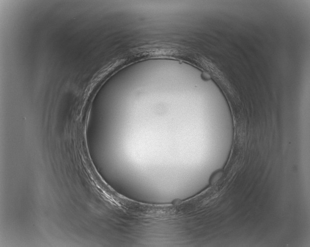 X0000081280721200701110933