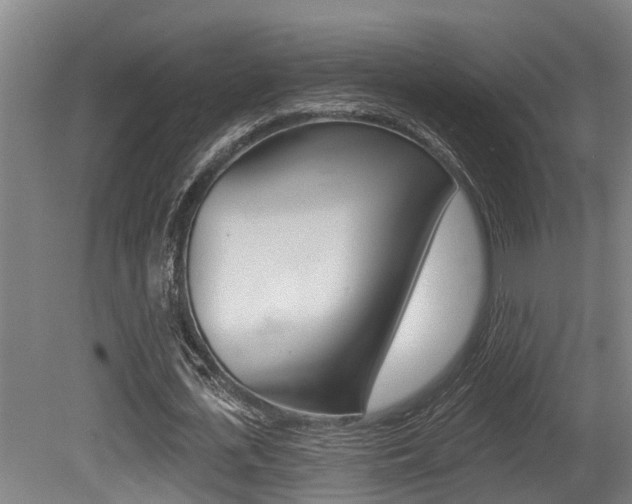 X0000081280723200701110933