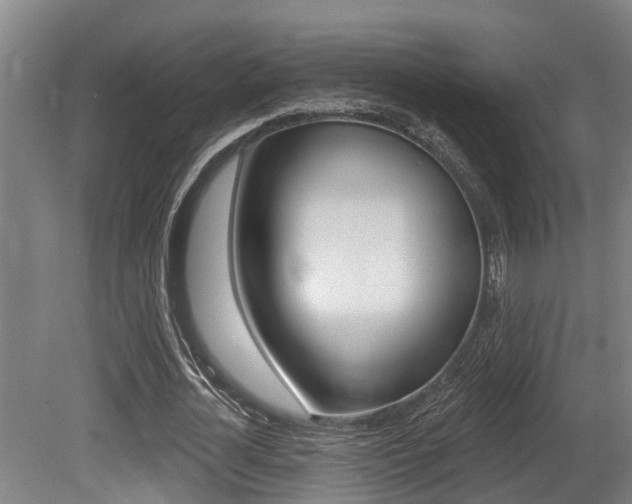 X0000081280724200701110933