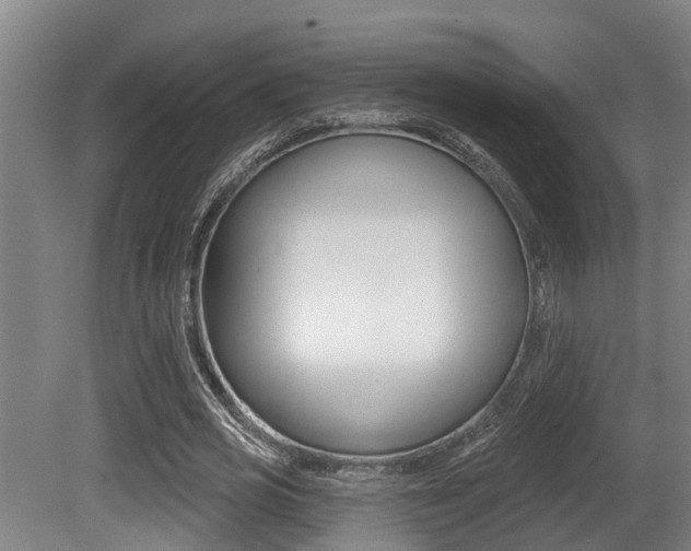 X0000081280725200701110933