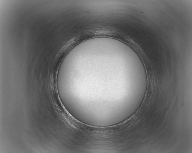X0000081280729200701110933