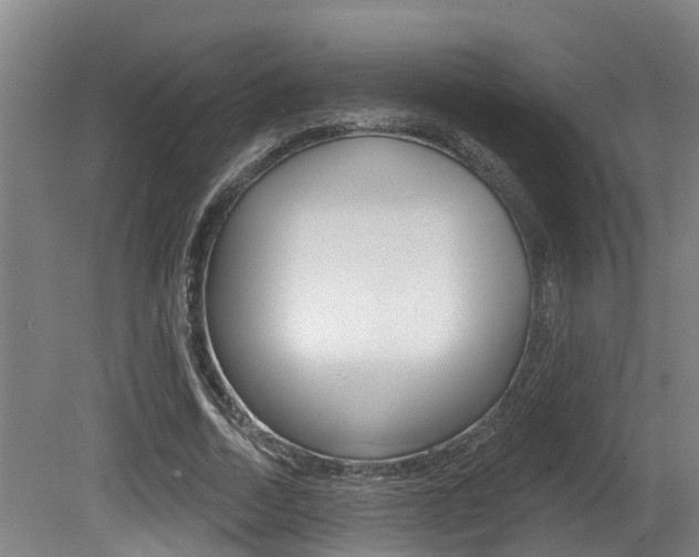 X0000081280730200701110933