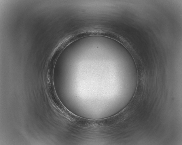 X0000081280731200701110933