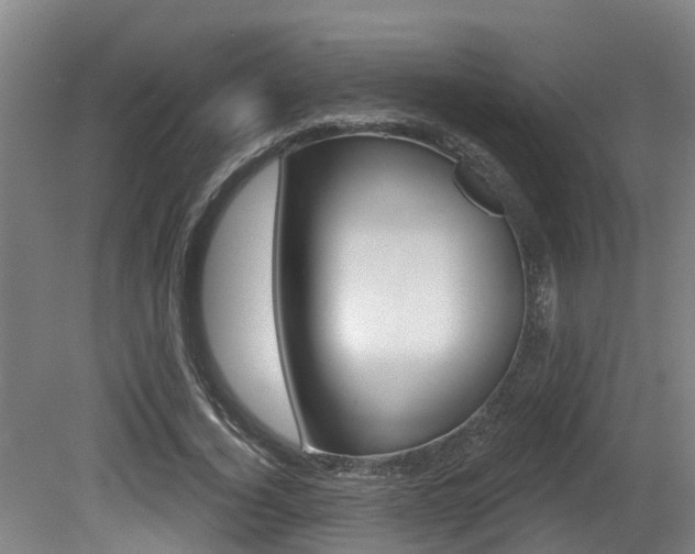 X0000081280732200701110933