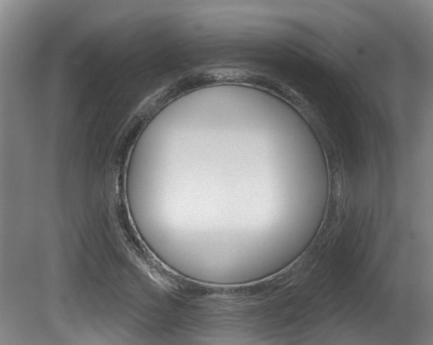 X0000081280733200701110933