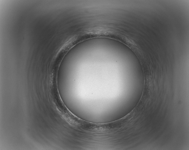 X0000081280735200701110933