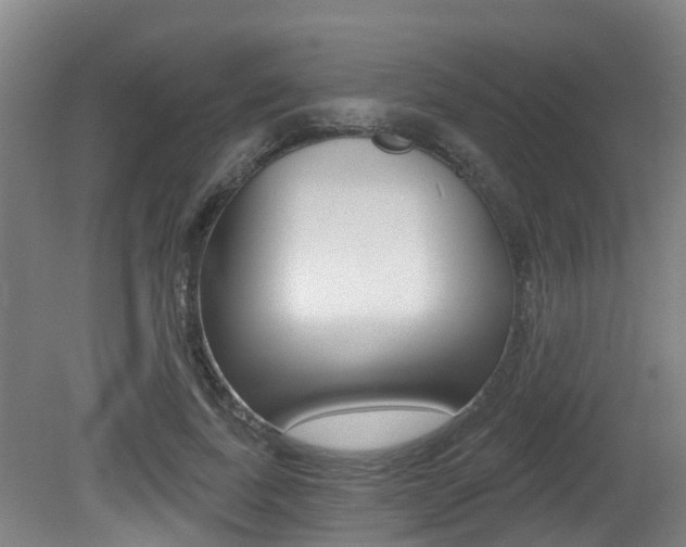 X0000081280739200701110933