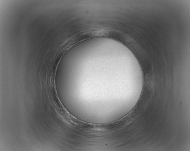 X0000081280741200701110933