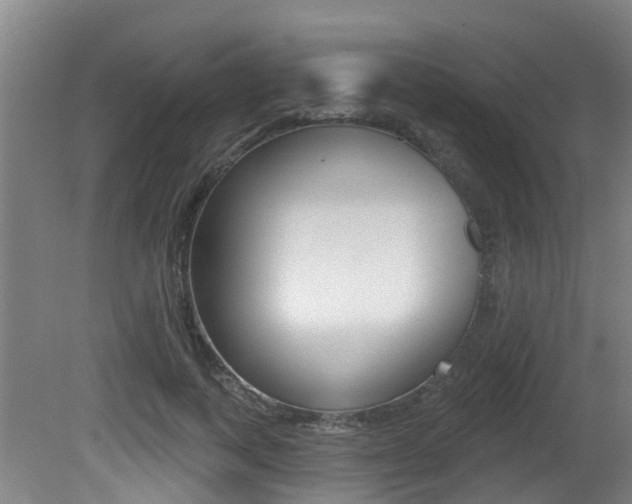 X0000081280743200701110933