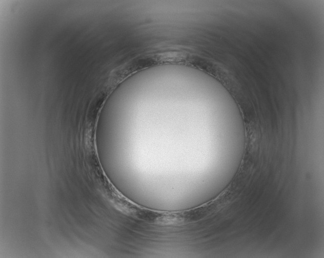 X0000081280745200701110933