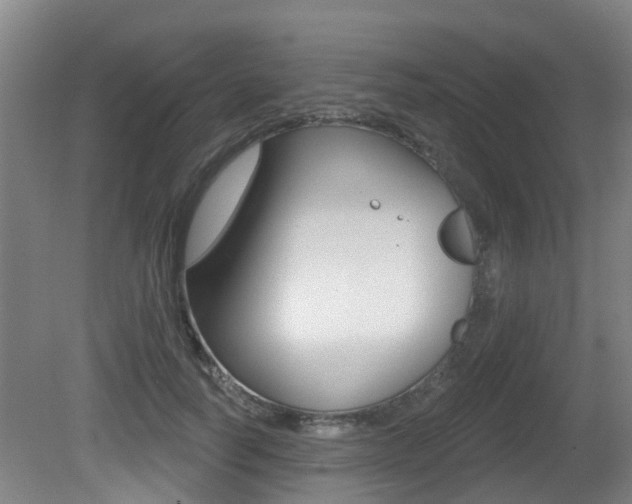 X0000081280746200701110933