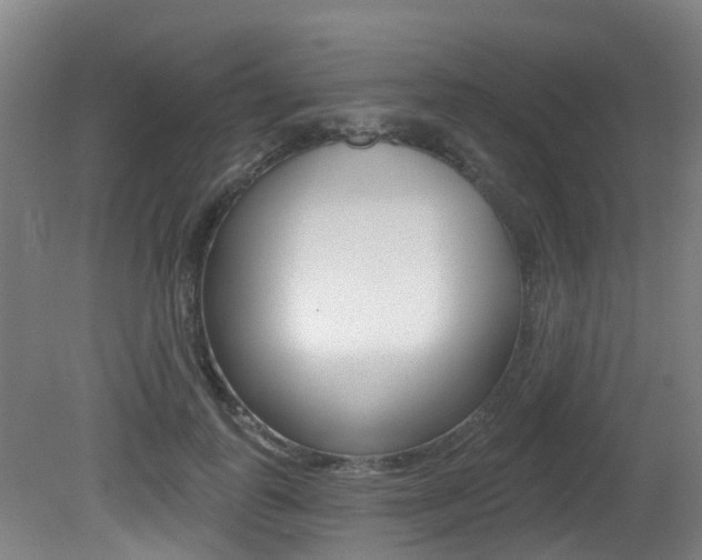 X0000081280747200701110933