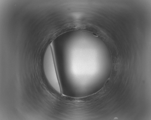 X0000081280748200701110933