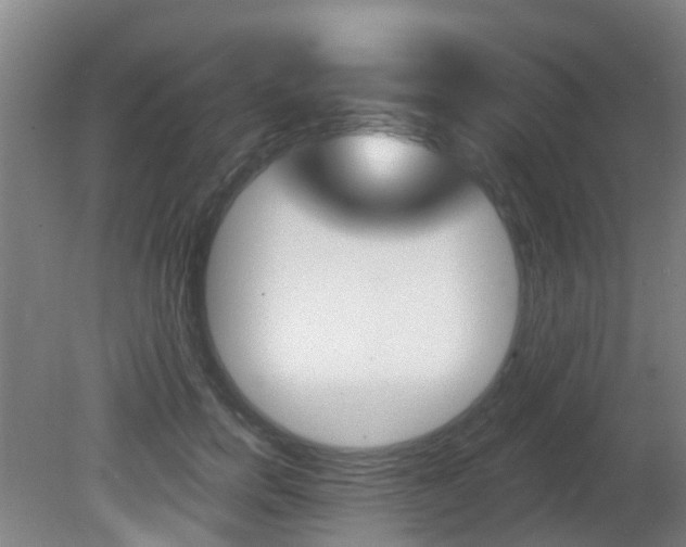 X0000081280750200701110933