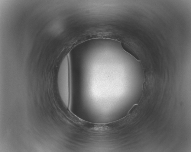 X0000081280752200701110933