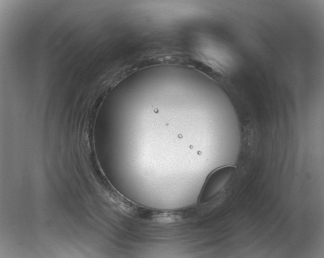 X0000081280754200701110934
